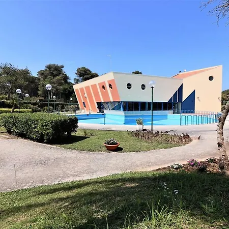 Serra 2 *